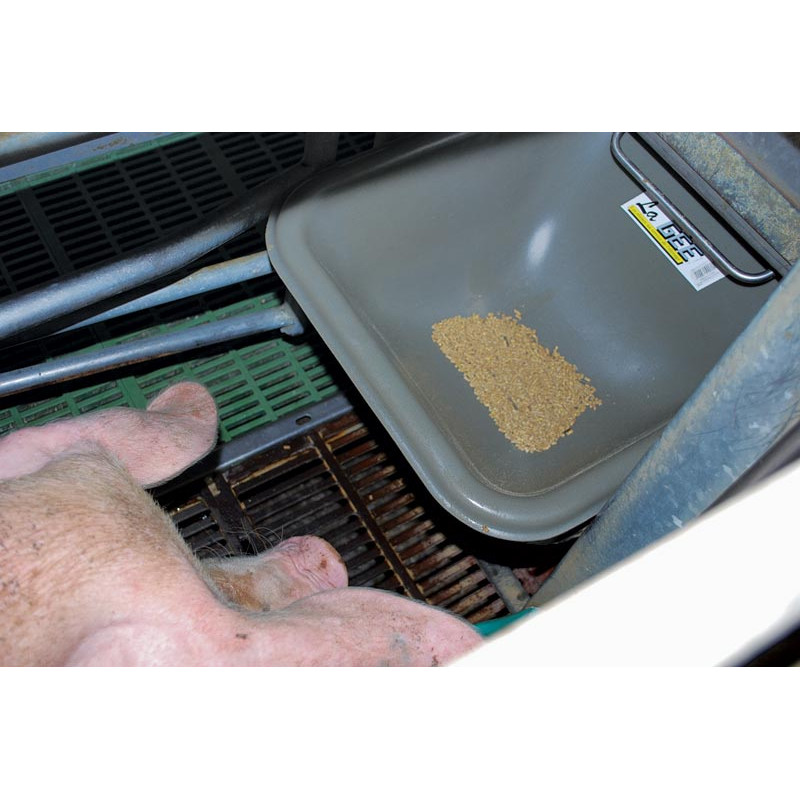 Auge individuelle avec rebord pour porc Auge individuelle avec rebord pour porc