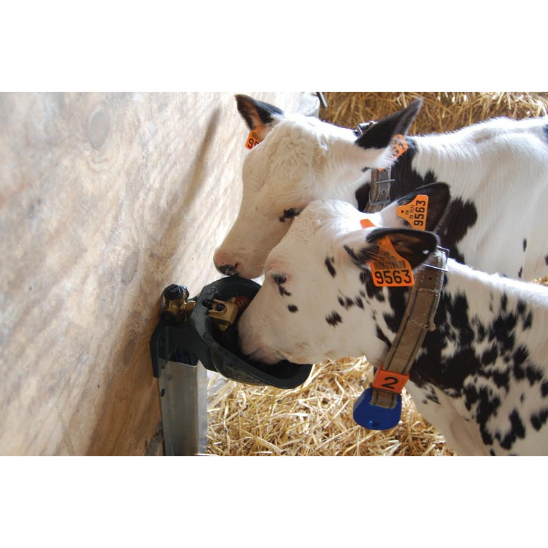 Abreuvoir PF1 POLYFIRST