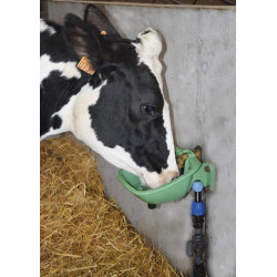 Abreuvoir POLYSELF PF2  à tube Abreuvoir POLYSELF PF2  à tube