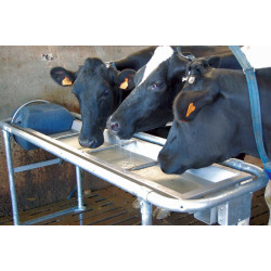 Abreuvoir POLYNOX S 255 basculant non chauffant Abreuvoir POLYNOX S 255 basculant non chauffant