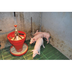 Tétine d'abreuvement pour cochon "Spécial Post-sevrage"