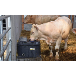 Abreuvoir POLYTHERME 1 boule Abreuvoir POLYTHERME 1 boule