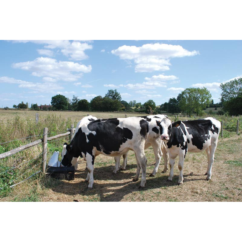 Abreuvoir Pompe de prairie POLYPUMP