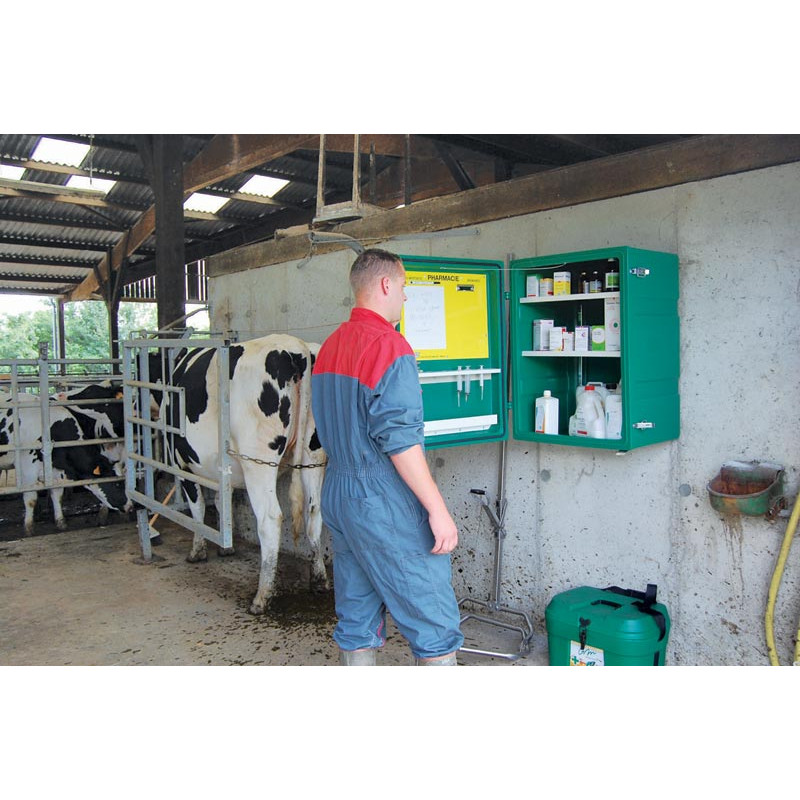 Pharmacie murale Pharmacie murale