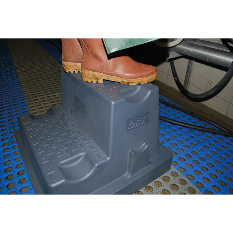 Marchepied 2 marches