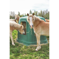 Râtelier de prairie RPE GM avec fond