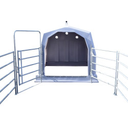 Parc pour niche à veaux collective