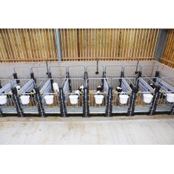 Cloison pour case à veaux Hygiène PRO montée en ligne