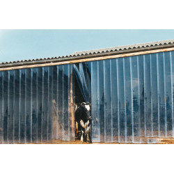 Rideaux à lanières PVC - Larg. 20 cm Rideaux à lanières PVC - Larg. 20 cm