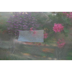 Adhésif agricole Spécial serre