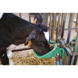 Abreuvoir PF1 POLYFIRST