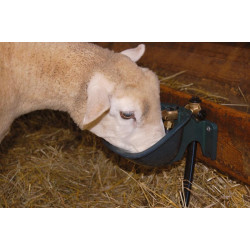 Abreuvoir PF1 POLYFIRST