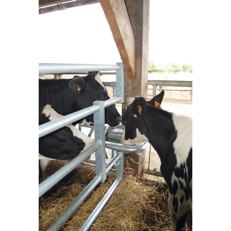 Abreuvoir PF6 PLUS POLYFAST NC avec anti-lapage