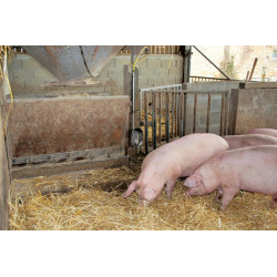 Abreuvoir POLYPORC "Engraissement" Abreuvoir POLYPORC "Engraissement"