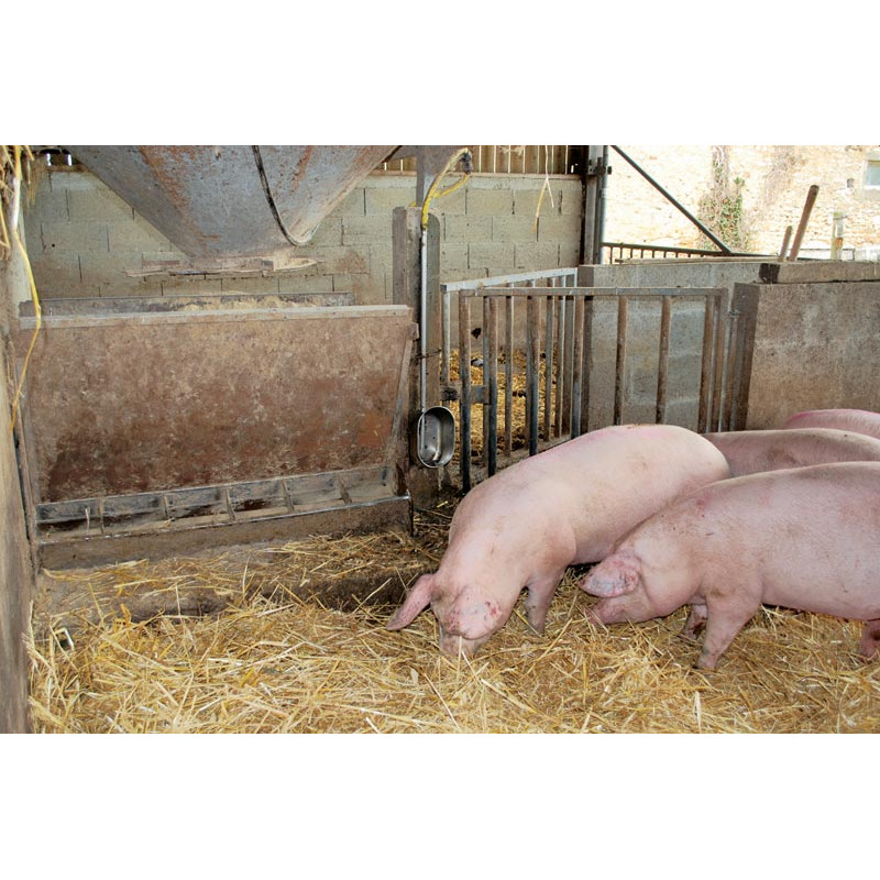 Abreuvoir POLYPORC "Engraissement" Abreuvoir POLYPORC "Engraissement"