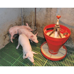 Tétine d'abreuvement pour cochon "Spécial Post-sevrage"