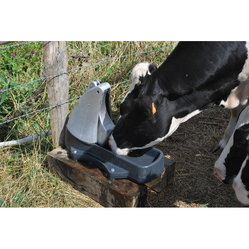 Abreuvoir Pompe de prairie POLYPUMP