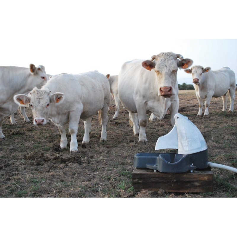 Abreuvoir Pompe de prairie POLYPUMP bol Abreuvoir Pompe de prairie POLYPUMP bol