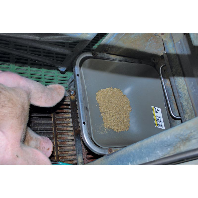 Auge individuelle sans rebord pour porc Auge individuelle sans rebord pour porc