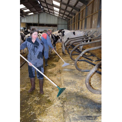 Racleur à main STANDARD - manche court