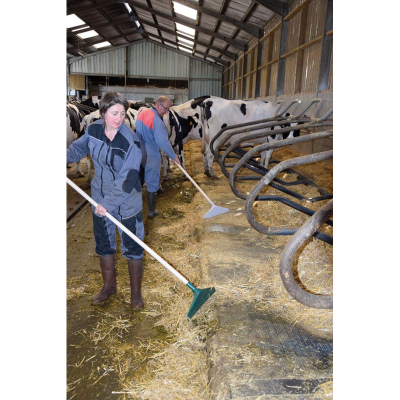 Racleur à main STANDARD - manche court