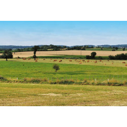 Citerne monobloc rectangulaire 5000 L Citerne monobloc rectangulaire 5000 L