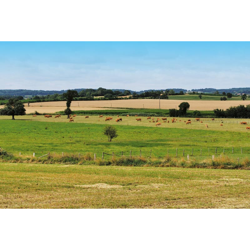 Citerne monobloc rectangulaire 5000 L Citerne monobloc rectangulaire 5000 L