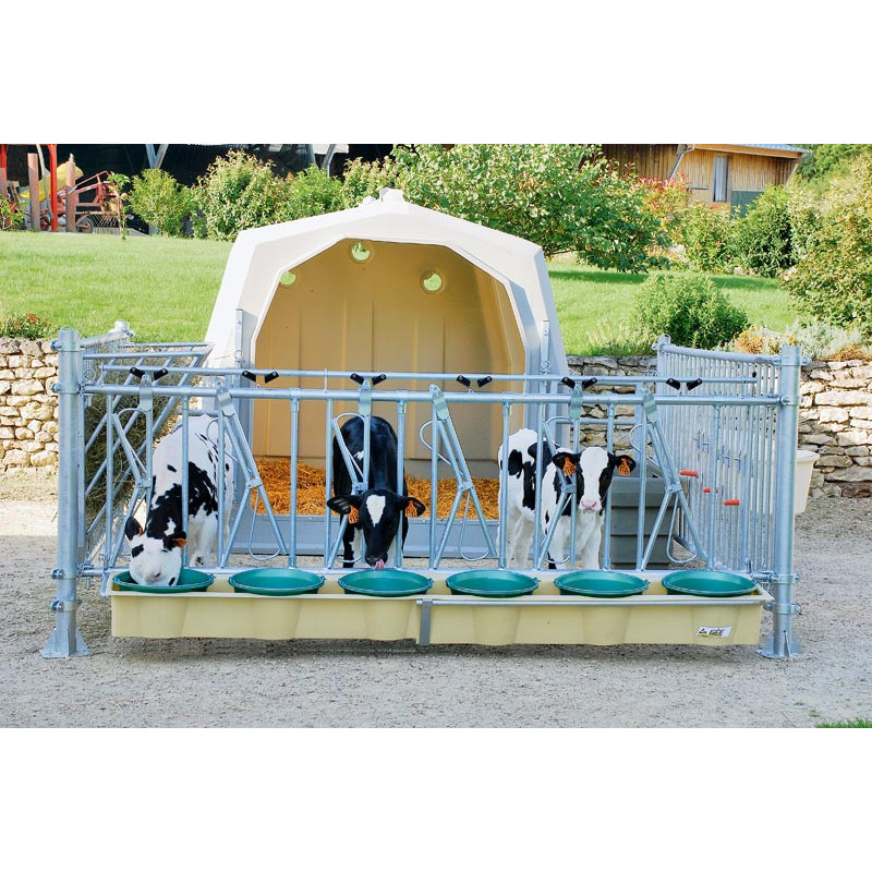 Niche à veaux collective avec parc