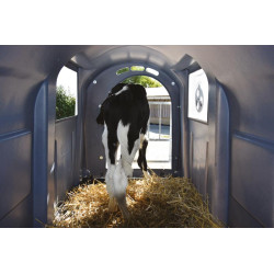 Pack niche à veaux confort XL