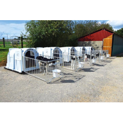 Pack niche à veaux confort XXL avec caillebotis