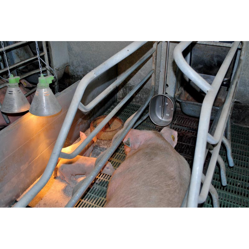 Abreuvoir POLYPORC "Porcelet"