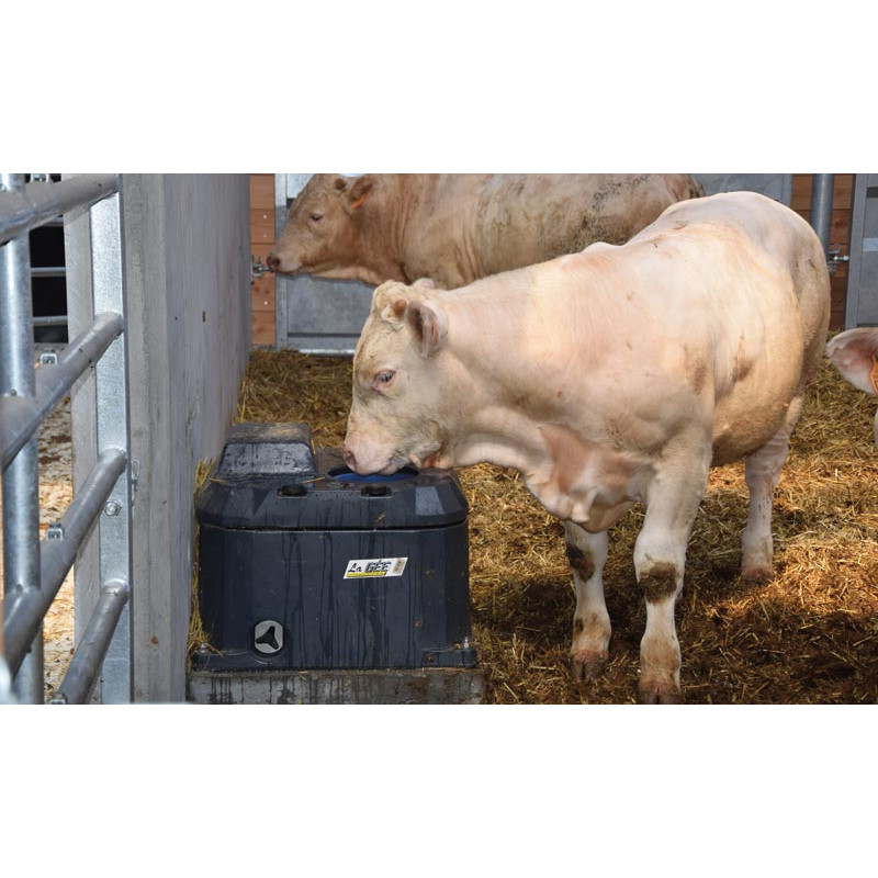 Abreuvoir POLYTHERME 1 boule Abreuvoir POLYTHERME 1 boule