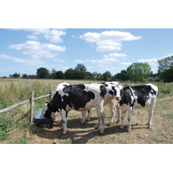 Abreuvoir Pompe de prairie POLYPUMP Abreuvoir Pompe de prairie POLYPUMP