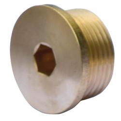 Bouchons de rechange pour Té femelle 3/4"