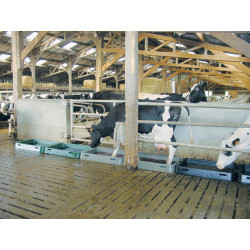 Pédiluve bovin modulable 1,25 m Pédiluve bovin modulable 1,25 m